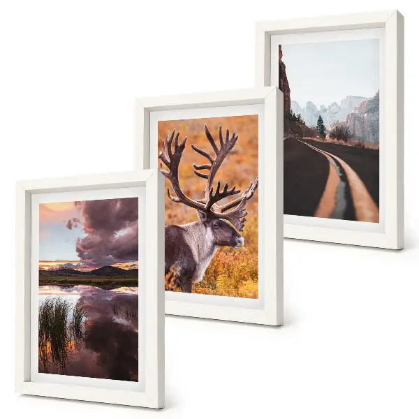 Gallery wall met berglandschappen, rendieren en een weg in de natuur
