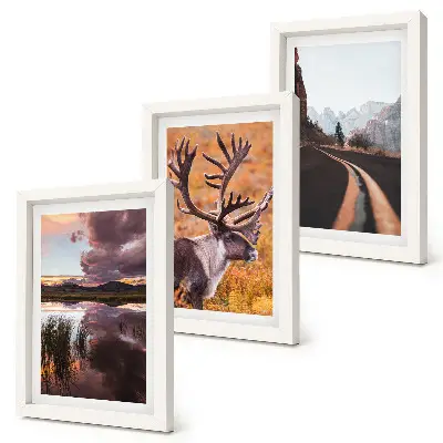 Gallery wall met berglandschappen, rendieren en een weg in de natuur