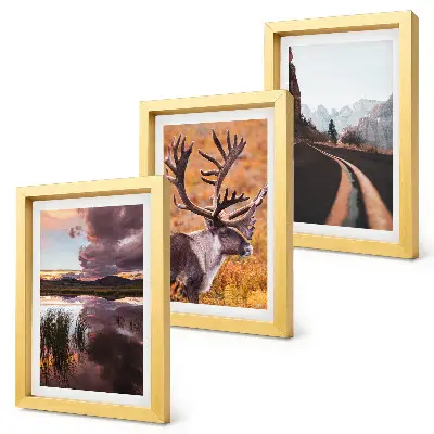 Gallery wall met berglandschappen, rendieren en een weg in de natuur