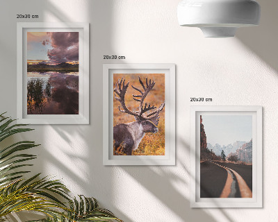 Gallery wall Berglandschappen met rendieren en een weg in de natuur