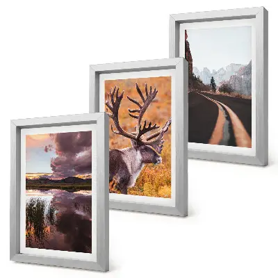 Gallery wall met berglandschappen, rendieren en een weg in de natuur