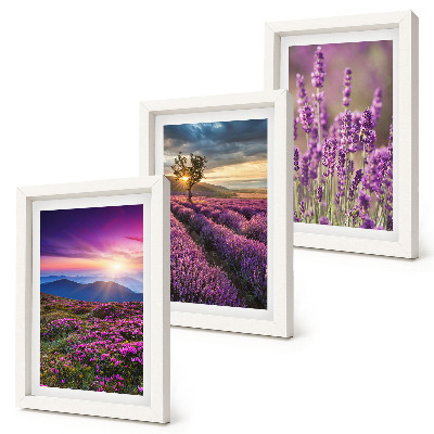 Gallery wall Landschap met lavendelvelden en zonsondergang