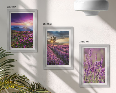 Gallery wall Landschap met lavendelvelden en zonsondergang