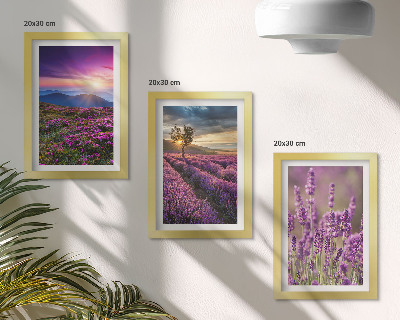 Gallery wall Landschap met lavendelvelden en zonsondergang