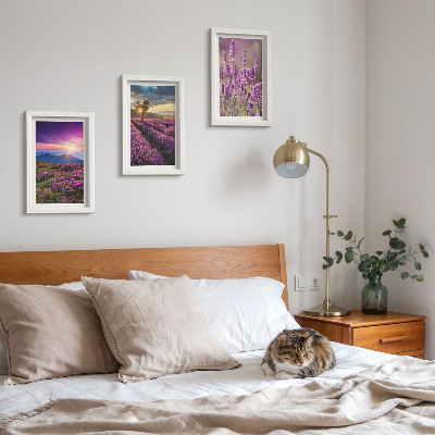 Gallery wall Landschap met lavendelvelden en zonsondergang
