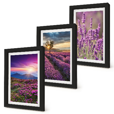 Gallery wall Landschap met lavendelvelden en zonsondergang