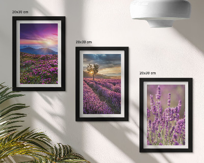 Gallery wall Landschap met lavendelvelden en zonsondergang