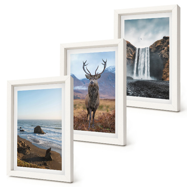 Gallery wall Berglandschap met een waterval, een hert en een strand.