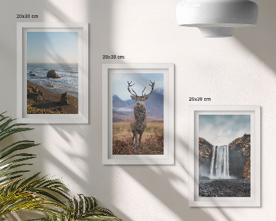 Gallery wall Berglandschap met een waterval, een hert en een strand.