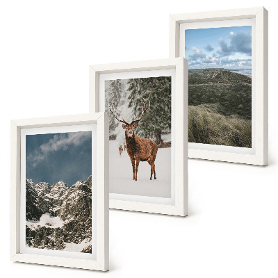 Set van ingelijste schilderijen Besneeuwde bergen, herten in het bos, landschappen