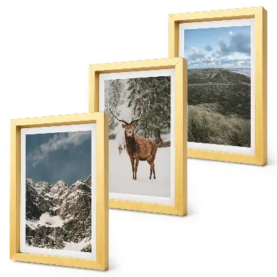 Set ingelijste schilderijen met besneeuwde bergen, herten in het bos en landschappen