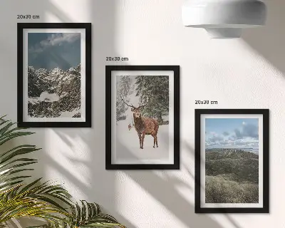 Set ingelijste schilderijen met besneeuwde bergen, herten in het bos en landschappen