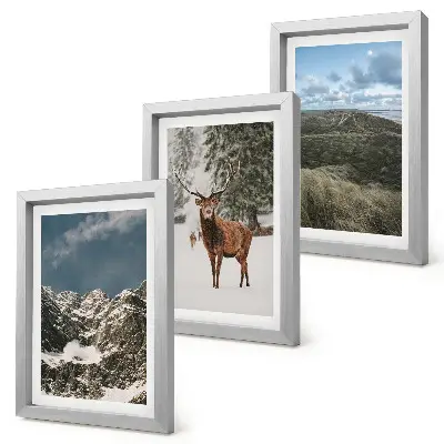 Set ingelijste schilderijen met besneeuwde bergen, herten in het bos en landschappen