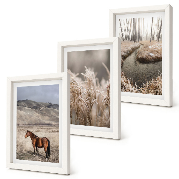 Gallery wall Paarden in een landschap van grassen en een winterse beek.