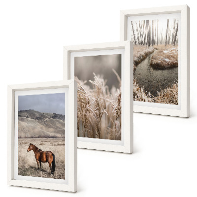 Gallery wall Paarden in een landschap van grassen en een winterse beek.