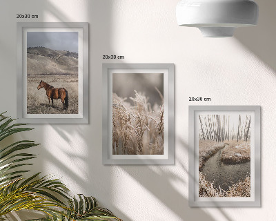 Gallery wall Paarden in een landschap van grassen en een winterse beek.