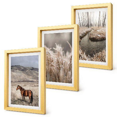 Gallery wall Paarden in een landschap van grassen en een winterse beek.