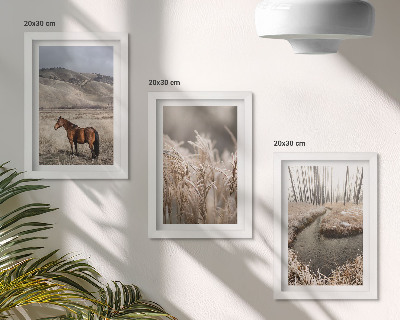 Gallery wall Paarden in een landschap van grassen en een winterse beek.