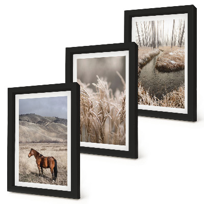 Gallery wall Paarden in een landschap van grassen en een winterse beek.