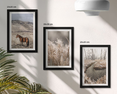 Gallery wall Paarden in een landschap van grassen en een winterse beek.