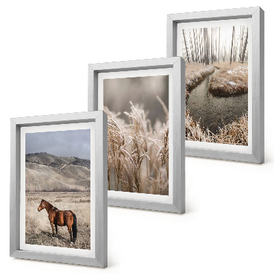 Gallery wall Paarden in een landschap van grassen en een winterse beek.