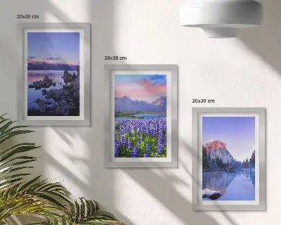 Set ingelijste schilderijen met berglandschappen, water, lucht en een bloemenveld
