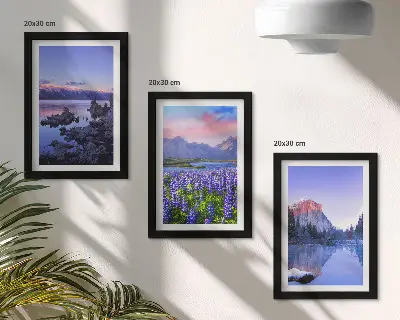Set ingelijste schilderijen met berglandschappen, water, lucht en een bloemenveld