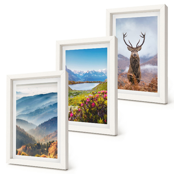 Set van ingelijste schilderijen Berglandschappen met een meer en herten in de natuur.
