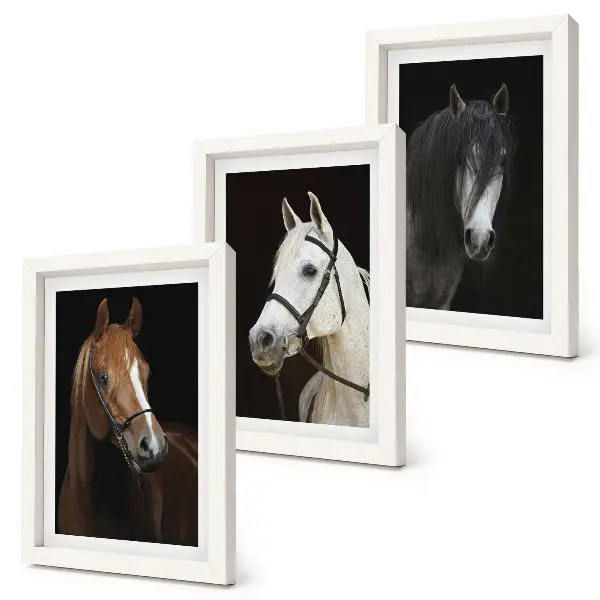 Set ingelijste schilderijen portretten van paarden met verschillende vachtkleuren