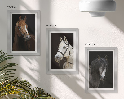 Set van ingelijste schilderijen Portretten van paarden in verschillende vachtkleuren.