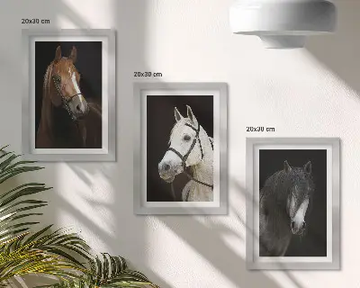 Set ingelijste schilderijen portretten van paarden met verschillende vachtkleuren