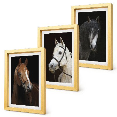 Set van ingelijste schilderijen Portretten van paarden in verschillende vachtkleuren.
