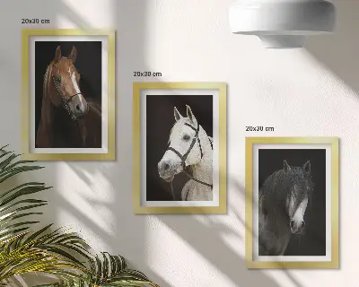 Set ingelijste schilderijen portretten van paarden met verschillende vachtkleuren