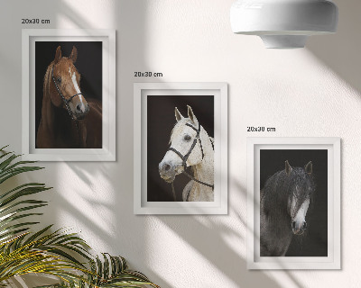 Set van ingelijste schilderijen Portretten van paarden in verschillende vachtkleuren.