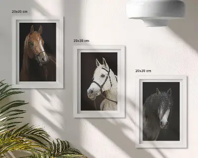 Set ingelijste schilderijen portretten van paarden met verschillende vachtkleuren