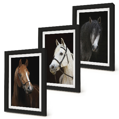 Set van ingelijste schilderijen Portretten van paarden in verschillende vachtkleuren.