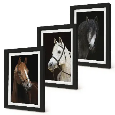Set ingelijste schilderijen portretten van paarden met verschillende vachtkleuren