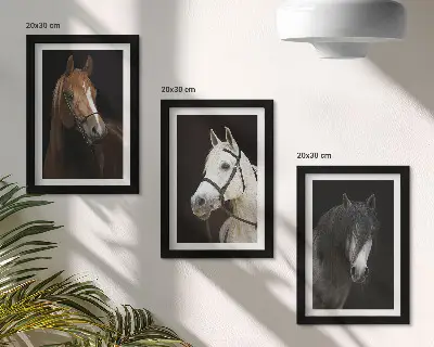 Set ingelijste schilderijen portretten van paarden met verschillende vachtkleuren