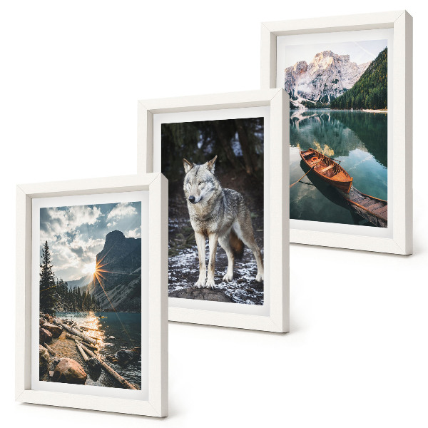 Gallery wall Bergen, meren en een wolf in een natuurlijke omgeving.