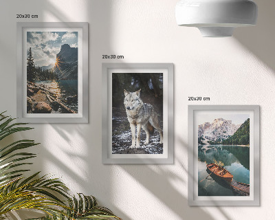 Gallery wall Bergen, meren en een wolf in een natuurlijke omgeving.