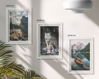 Gallery wall Bergen, meren en een wolf in een natuurlijke omgeving.