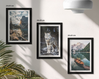 Gallery wall Bergen, meren en een wolf in een natuurlijke omgeving.