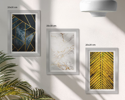Set van ingelijste schilderijen Moderne geometrische patronen en natuurlijke plantmotieven