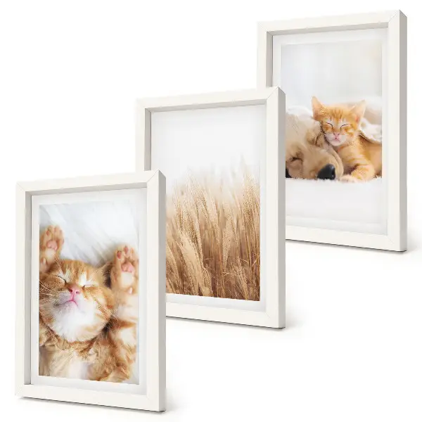 Set ingelijste schilderijen met schattige katten en honden in een boho stijl met zacht gras