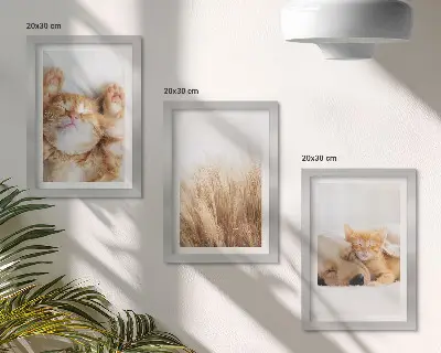 Set ingelijste schilderijen met schattige katten en honden in een boho stijl met zacht gras