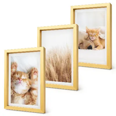 Set ingelijste schilderijen met schattige katten en honden in een boho stijl met zacht gras