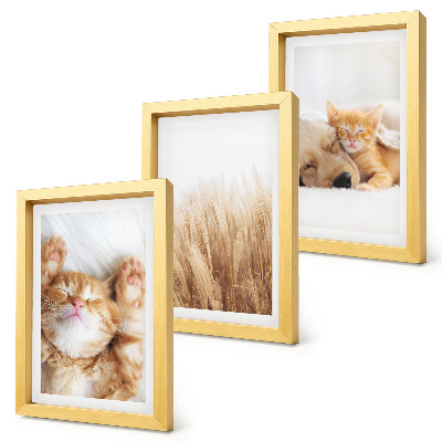 Set van ingelijste schilderijen Schattige dieren, katten, honden, teer gras, boho