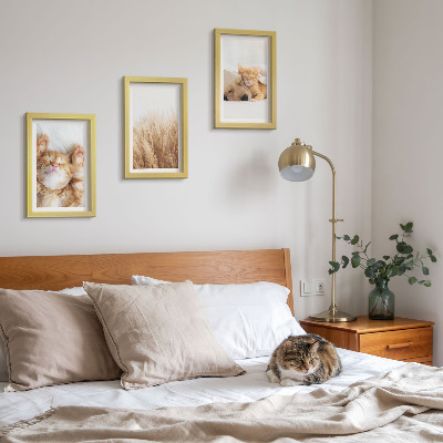 Set van ingelijste schilderijen Schattige dieren, katten, honden, teer gras, boho
