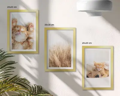 Set ingelijste schilderijen met schattige katten en honden in een boho stijl met zacht gras