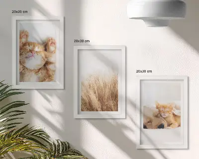 Set ingelijste schilderijen met schattige katten en honden in een boho stijl met zacht gras